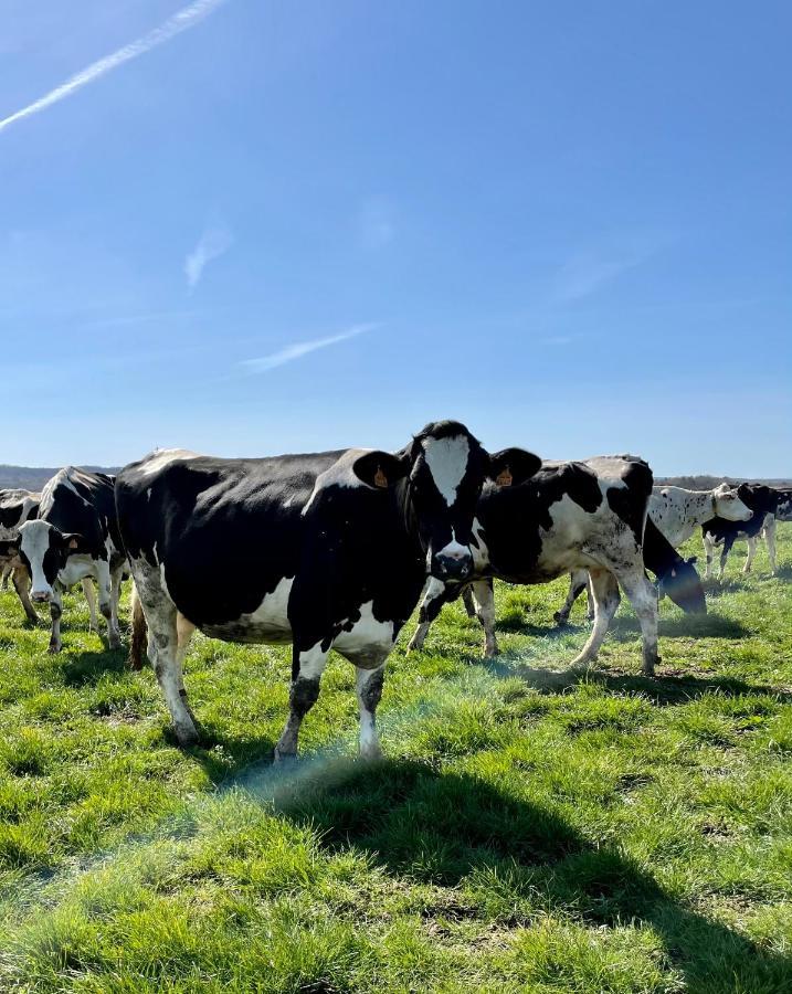 Chambre A La Ferme Precy-le-Sec Екстер'єр фото